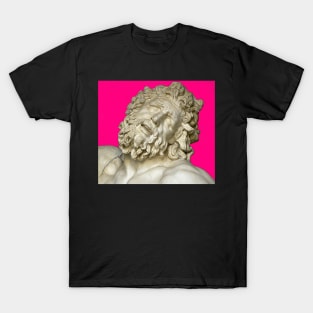 aesthetic statue sticker T-Shirt